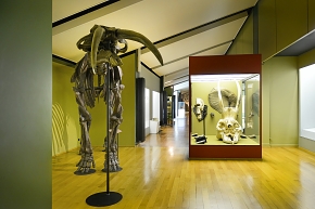 naturhistorisches museum basel 8-2022 4893